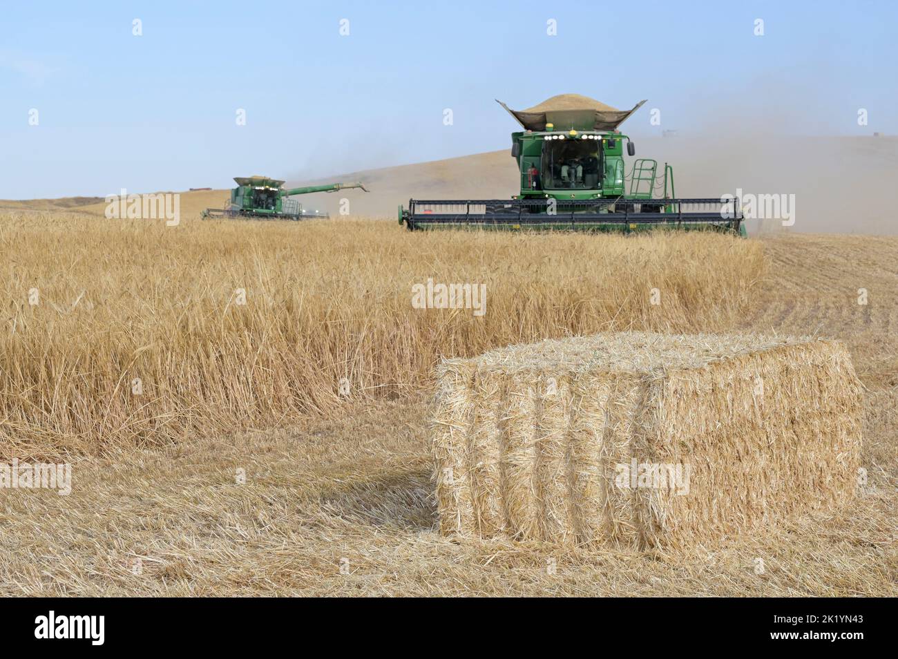 ISRAËL, région semi-aride du Negev, Ofakim, entreprise commune de production agricole de 4000 hectares de kibbutz Ruchama, Dorot und Tselim, récolte d'orge avec moissonneuse-batteuse John Deere avec pressage instantané des balles de paille / Israël, Negev Wüste, Ernte von Gerste auf einer 4000 Hektar Kibbutz Farm Banque D'Images