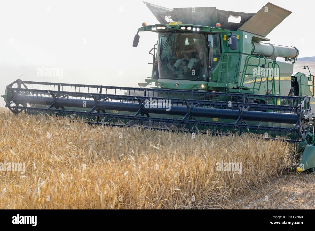 ISRAËL, région semi-aride du Negev, Ofakim, entreprise commune de production agricole de 4000 hectares de kibbutz Ruchama, Dorot und Tselim, récolte d'orge avec moissonneuse-batteuse John Deere avec pressage instantané des balles de paille / Israël, Negev Wüste, Ernte von Gerste auf einer 4000 Hektar Kibbutz Farm Banque D'Images