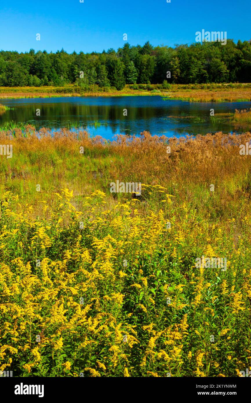 Upper Klondike Pond, avec sa sœur Lower Klondike Pond, sur les sources de la rivière Lehigh, dans les monts Pocono de Pennsylvanie, où importa Banque D'Images