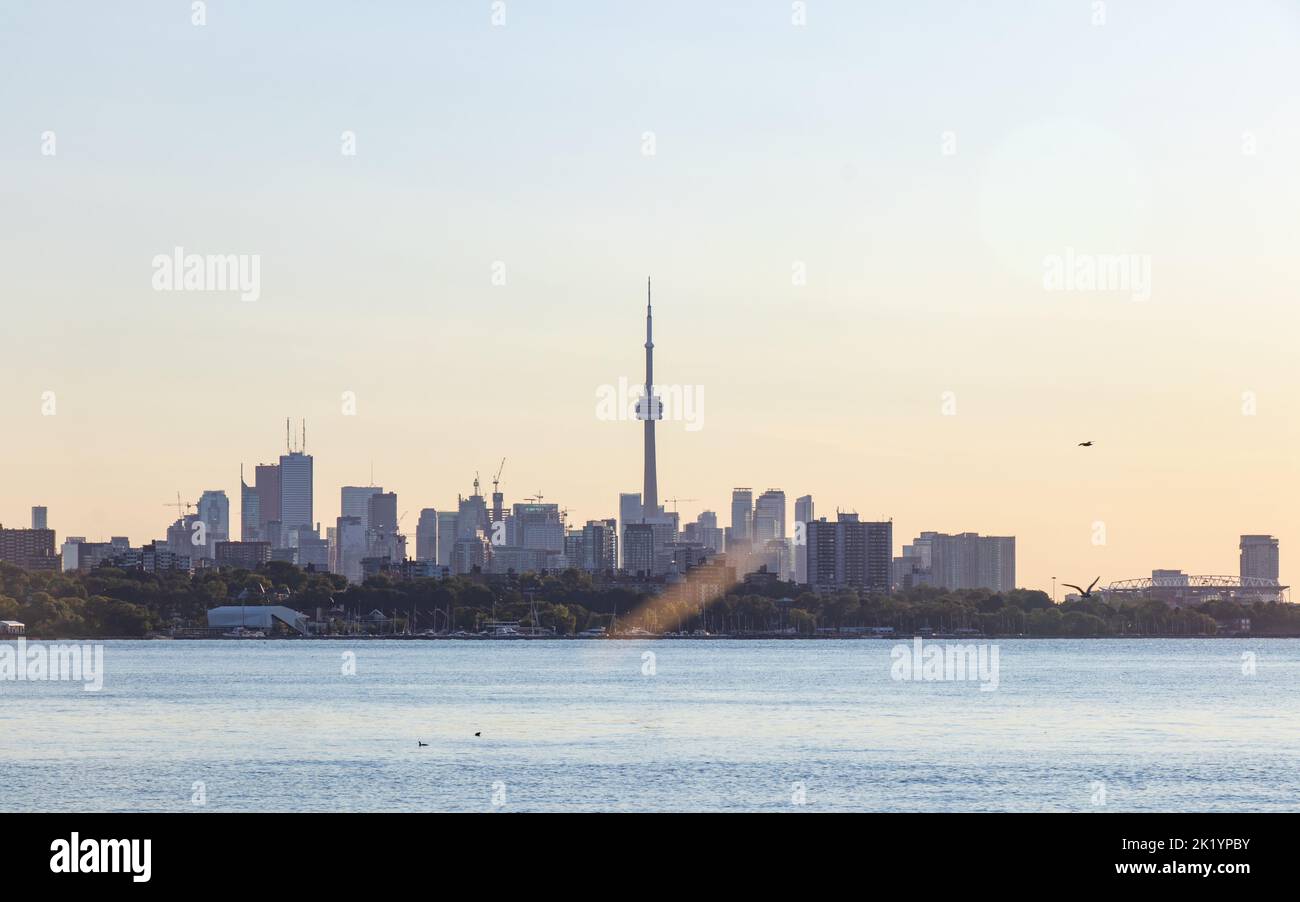 La ligne d'horizon de Toronto avec la Tour CN au centre est vue de l'autre côté de la rive du lac Ontario en début de matinée. Banque D'Images