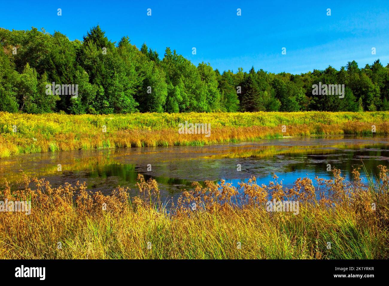 Upper Klondike Pond, avec sa sœur Lower Klondike Pond, sur les sources de la rivière Lehigh, dans les monts Pocono de Pennsylvanie, où importa Banque D'Images