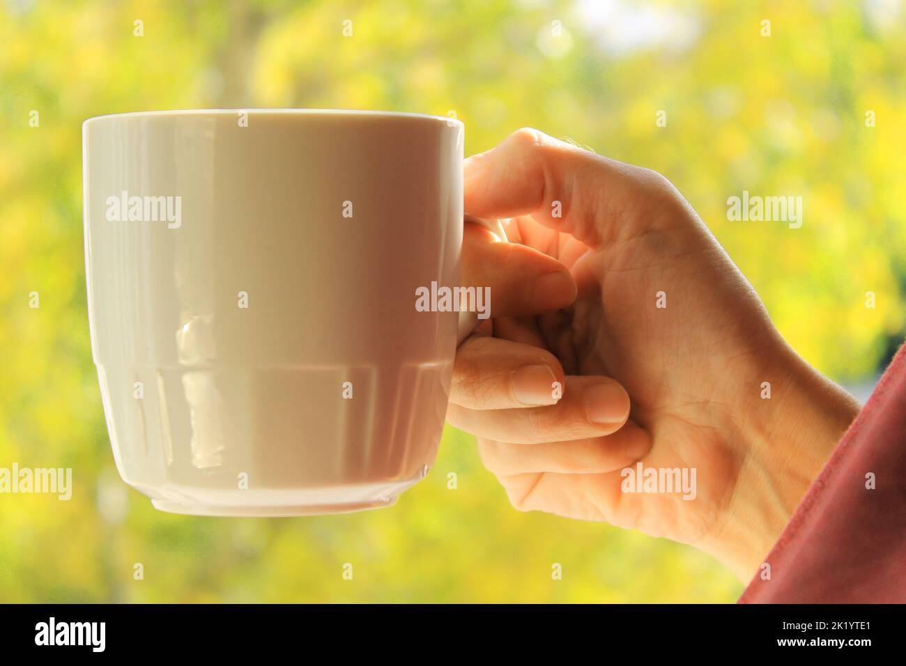 Main de femme avec une tasse blanche en gros plan sur un fond jaune-vert d'automne. Banque D'Images