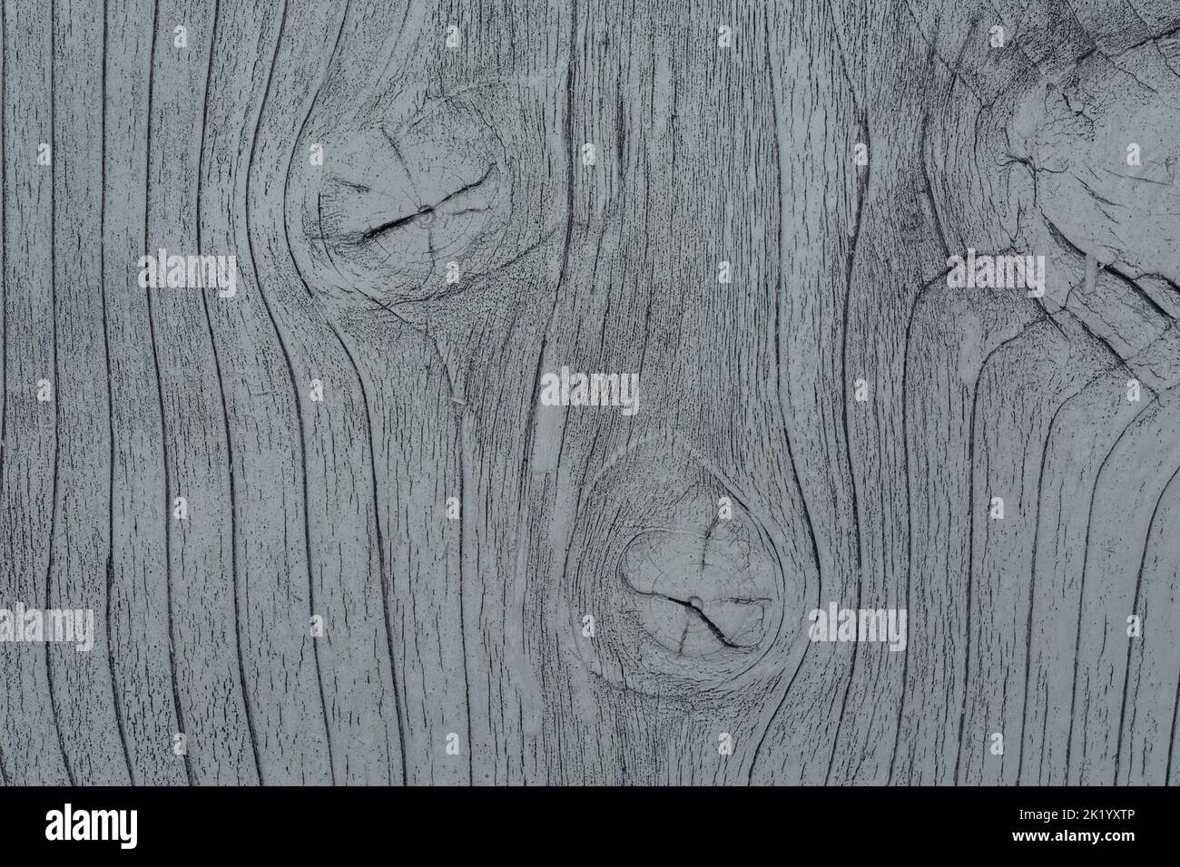 Texture de la vieille surface en bois peinte gris avec fissures. Anneaux de grand âge, lignes structurelles. Fond de table en bois clair, grunge. Copier l'espace. Mise au point sélective douce Banque D'Images