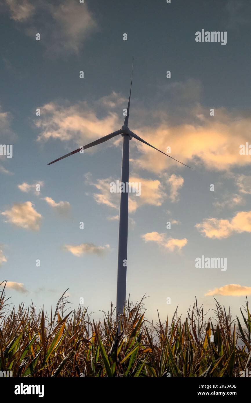 Image symbole : éoliennes, ferme éolienne au lever du soleil (composition) Banque D'Images