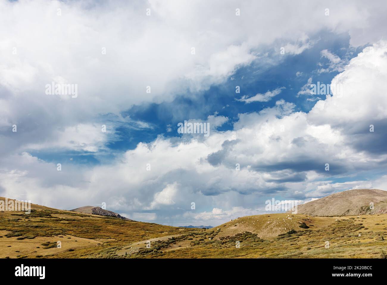 Région de Guanella Pass, Colorado, États-Unis Banque D'Images