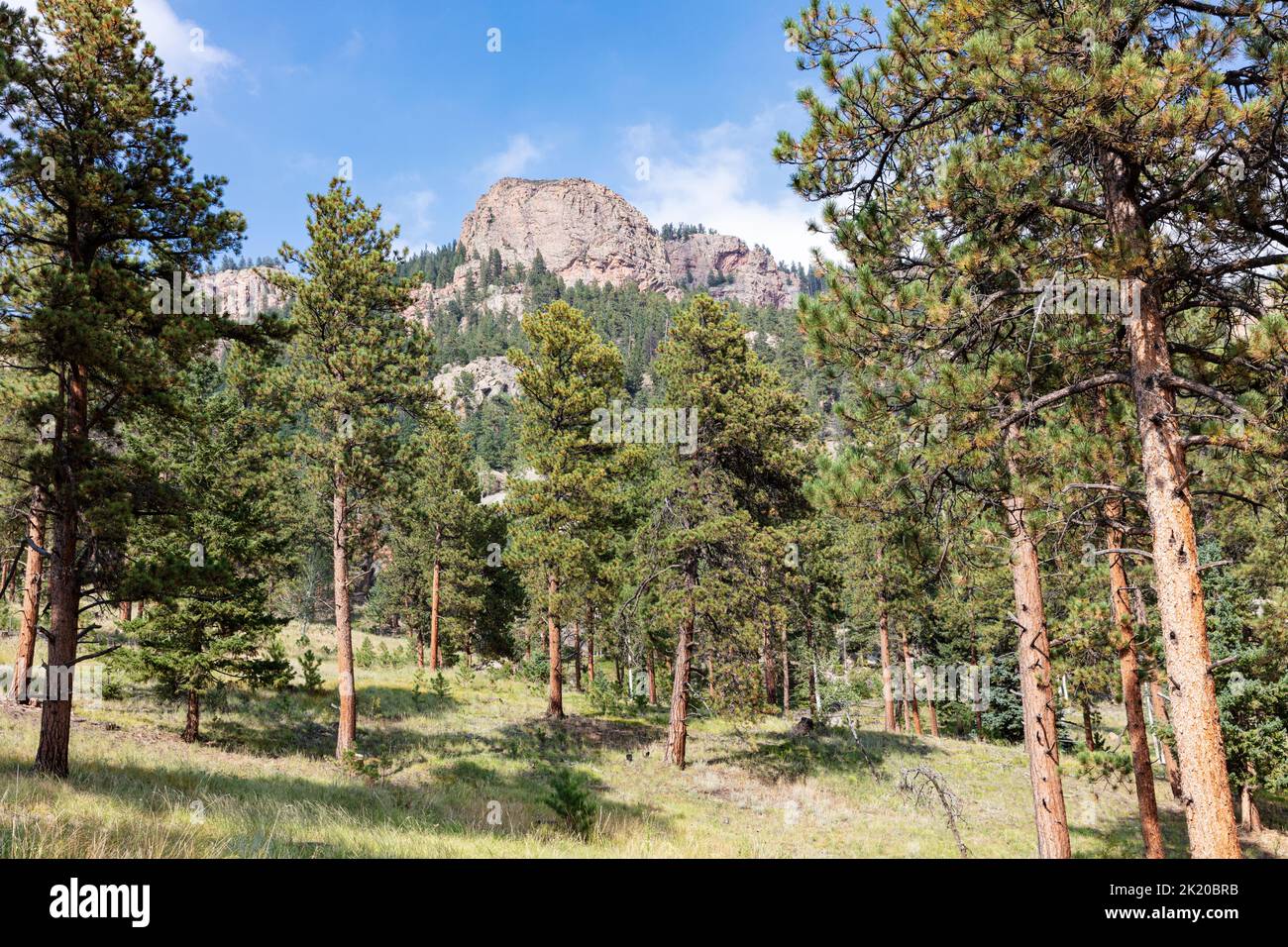 Staunton State Park, Colorado, États-Unis Banque D'Images