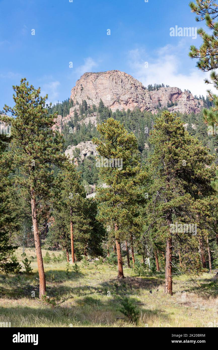 Staunton State Park, Colorado, États-Unis Banque D'Images