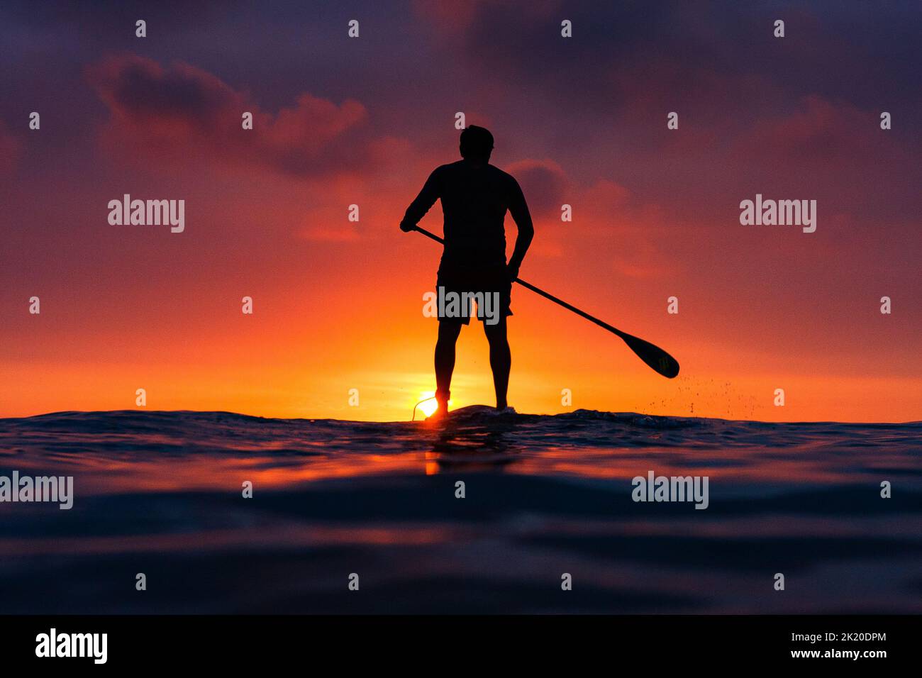 Silhouette de stand up paddle Boarder pagayer à un beau coucher de soleil de l'océan Banque D'Images