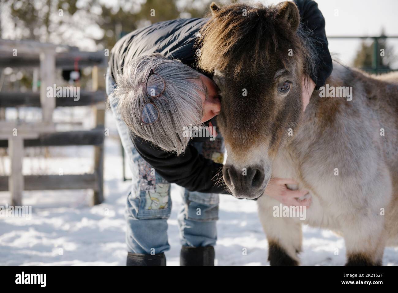 Femme Se Fais Baiser Par Un Cheval Femme baiser par un cheval Banque de photographies et d’images à haute