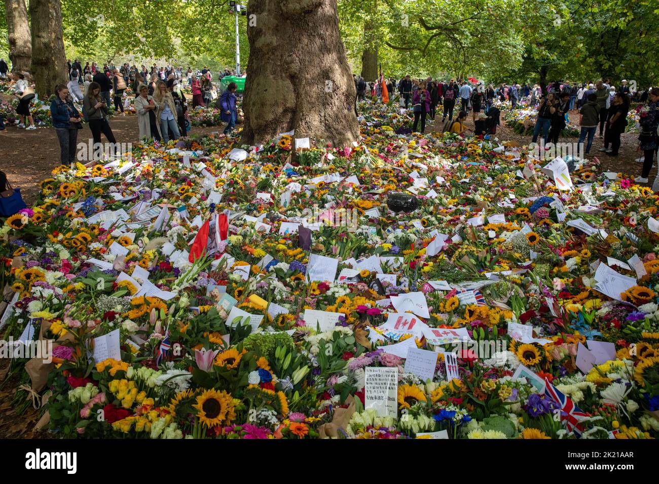 13th septembre 2022, les amateurs de garrot laissent des hommages à la reine Elizabeth II dans un jardin commémoratif à Green Park, Londres, après sa mort paisiblement à Balmoral ag Banque D'Images