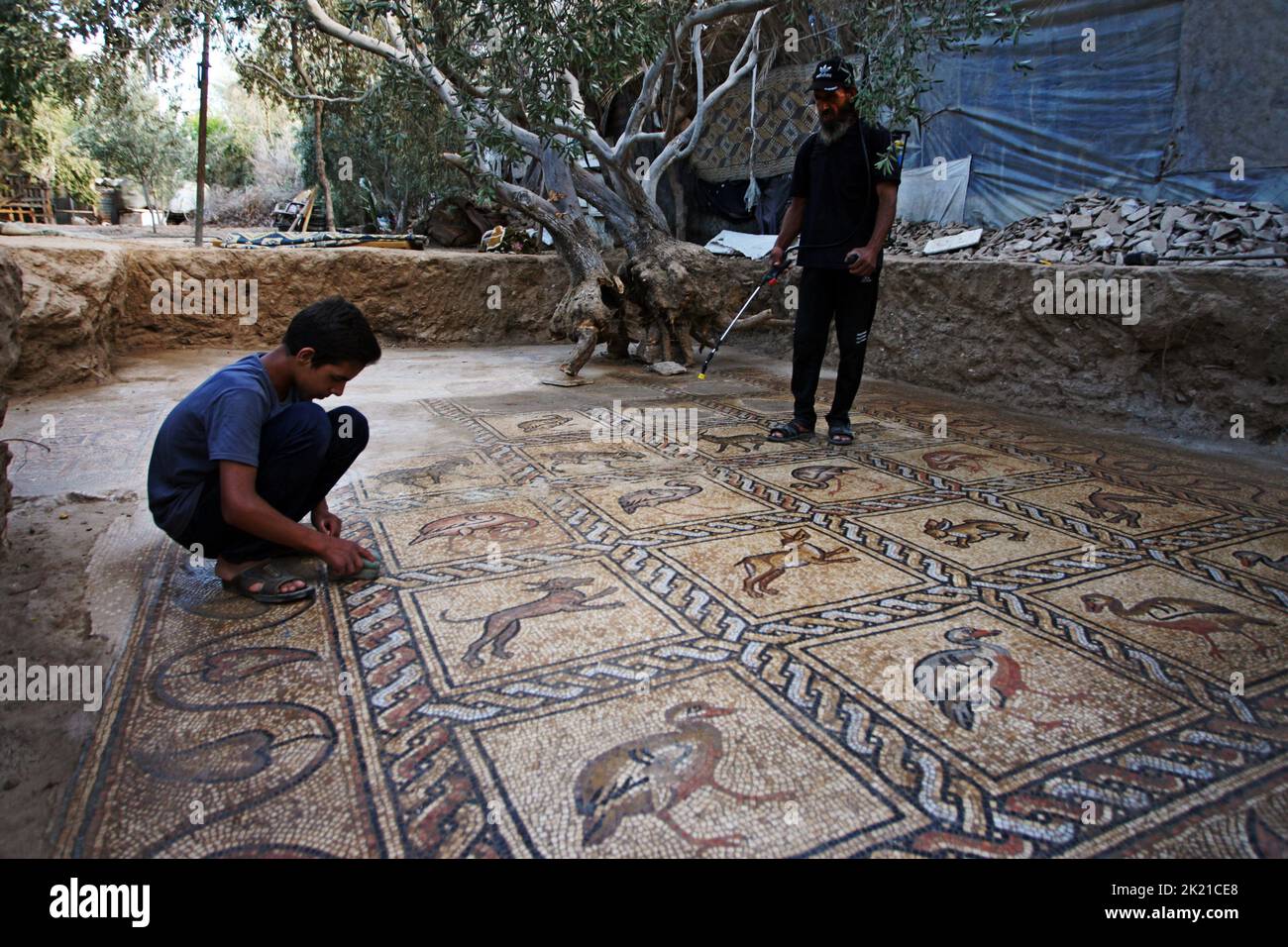 Camp Al Bureij, Gaza. 21st septembre 2022. L'agriculteur palestinien Salman al-Nabahin, âgé de 52 ans, et son fils Ahmad, âgé de 16 ans, nettoient un sol en mosaïque qu'il a découvert dans sa ferme et qui remonte à l'ère byzantine, selon les responsables, dans le camp d'Al-Bureij, dans le centre de la bande de Gaza, mercredi 21 septembre 2022. Le ministère palestinien du Tourisme et des Antiquités a annoncé la découverte de la mosaïque, qui sera protégée et un projet d'excavation commencera à Dès que possible. Photo par Ismael Mohamad/UPI crédit: UPI/Alay Live News Banque D'Images