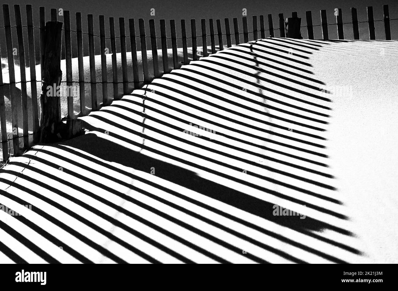 Sandy Reflections, parc national de Cape Henloopen, Delaware États-Unis, Delaware Banque D'Images