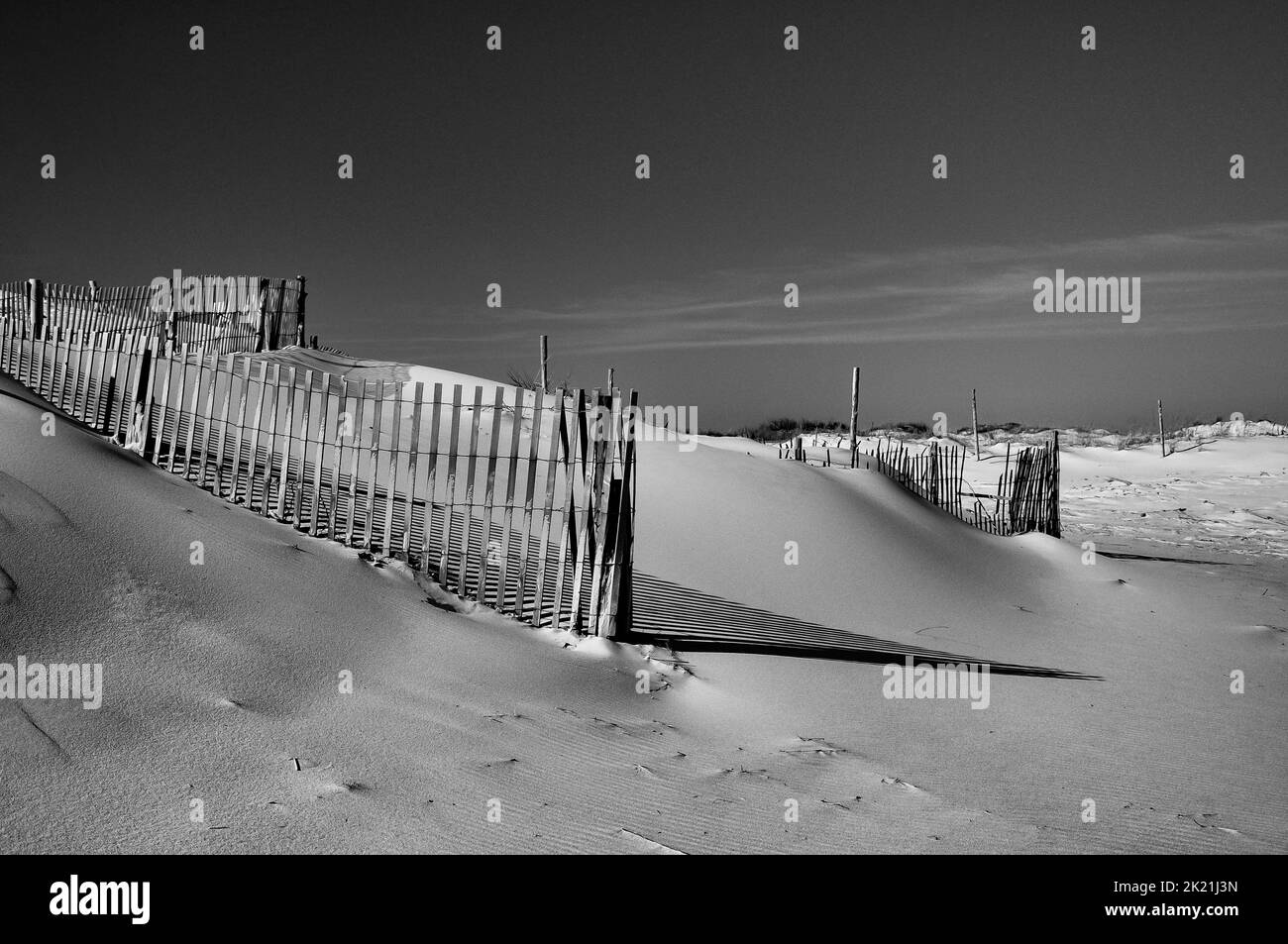 Parc national de Cape Henloopen au début de l'hiver, Delaware, États-Unis, Lewes, Delaware Banque D'Images
