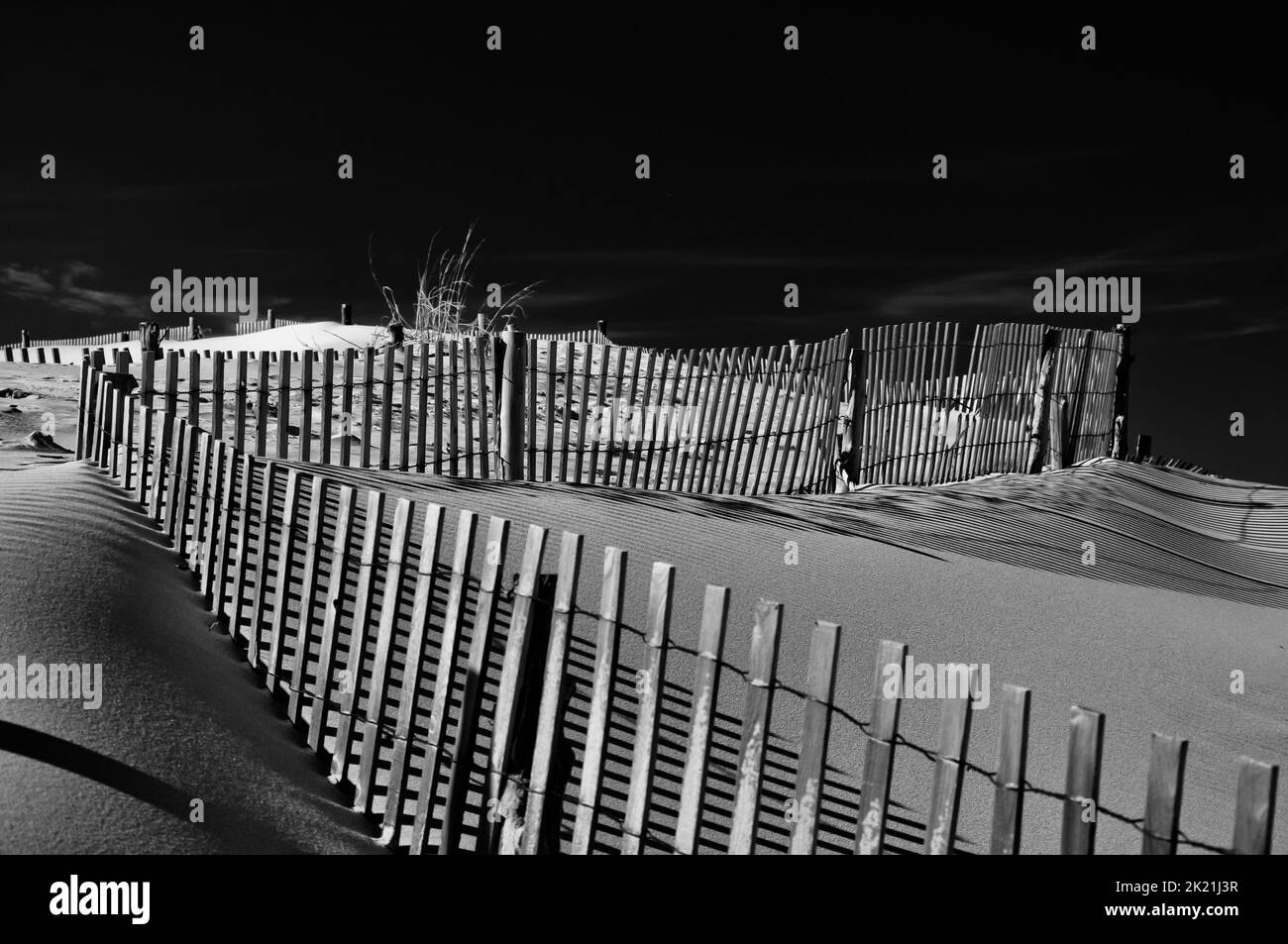 Soirée d'hiver au parc national de Cape Henloopen, Delaware, États-Unis, Delaware Banque D'Images