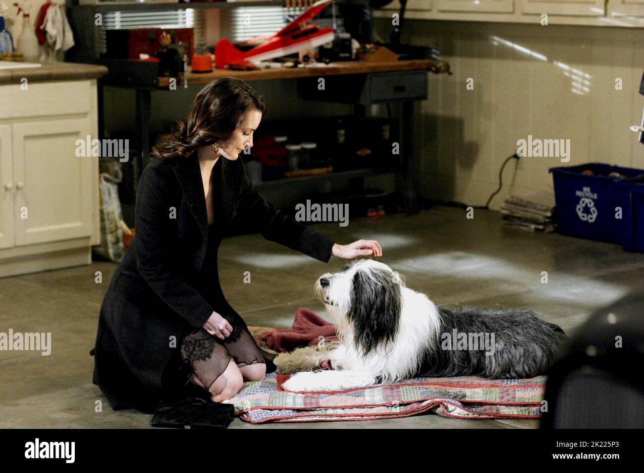 KRISTIN DAVIS, chien, THE SHAGGY DOG, 2006 Banque D'Images