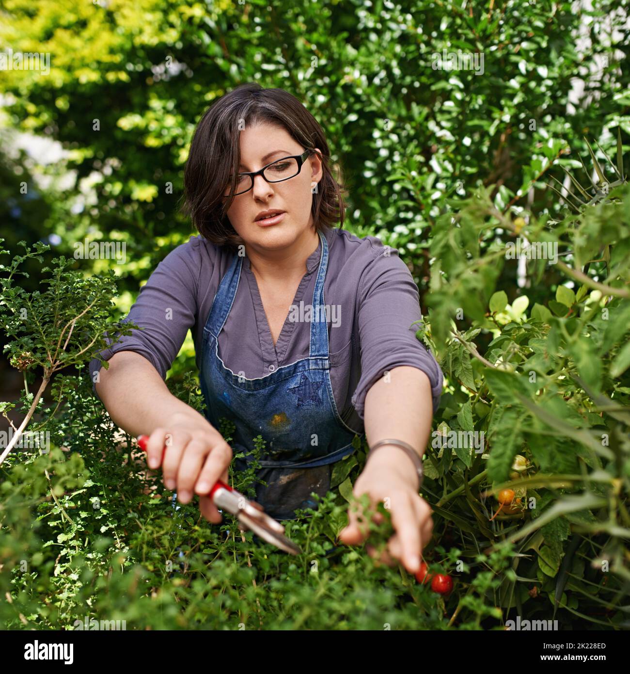 Aucune vie n'est sans difficulté aucun jardin n'est sans mauvaises herbes. Une femme d'âge moyen tailler des plantes dans son jardin Banque D'Images