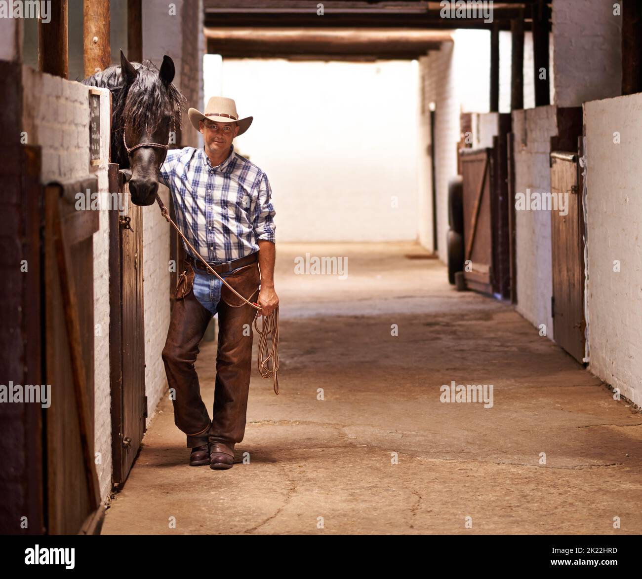 C'est le temps d'aller faire un tour. Une main de ranch bienveillante assistant à un cheval dans l'écurie. Banque D'Images