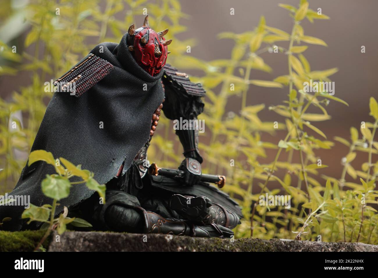 La figure Darth Maul dans la nature. Banque D'Images