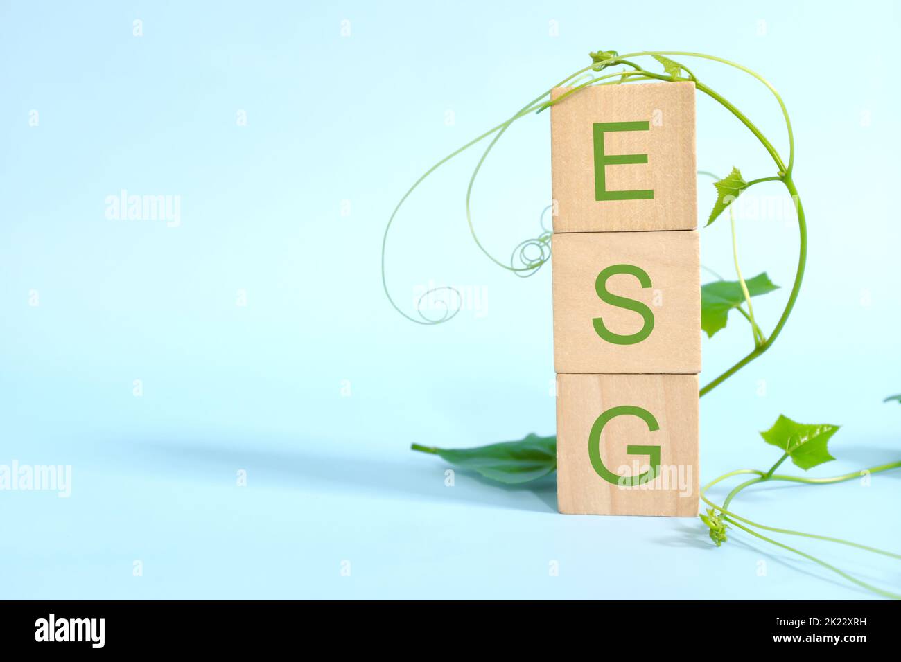 Entreprise durable et responsable et concept de gouvernance sociale environnementale ou ESG. Lettres ESG sur des blocs de bois avec des feuilles. Banque D'Images
