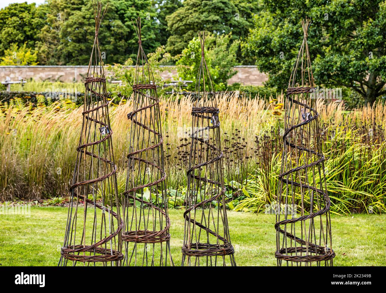 Obélisques de saule tissés dans un jardin formel, jardin fortifié d'Amisfield, Lothian est, Écosse, Royaume-Uni Banque D'Images