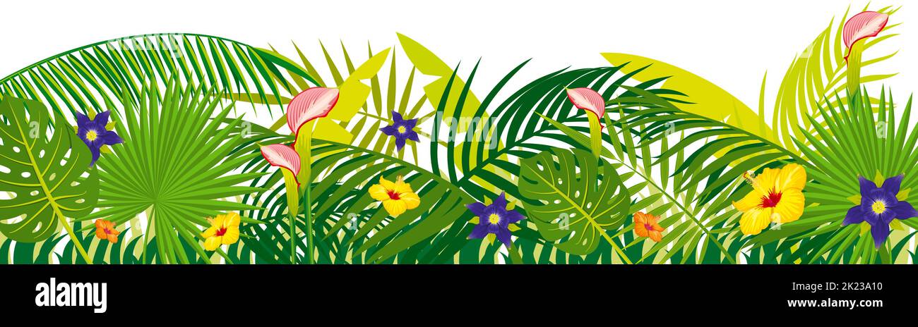 Bordure de feuilles tropicales. Décoration horizontale de plantes vertes Illustration de Vecteur