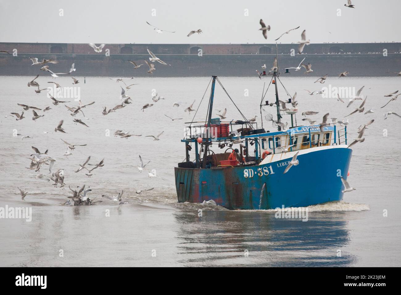 Un petit bateau de pêche bleu longe les mouettes lorsqu'il retourne au quai des poissons de Sunderland via le port de la rivière Banque D'Images