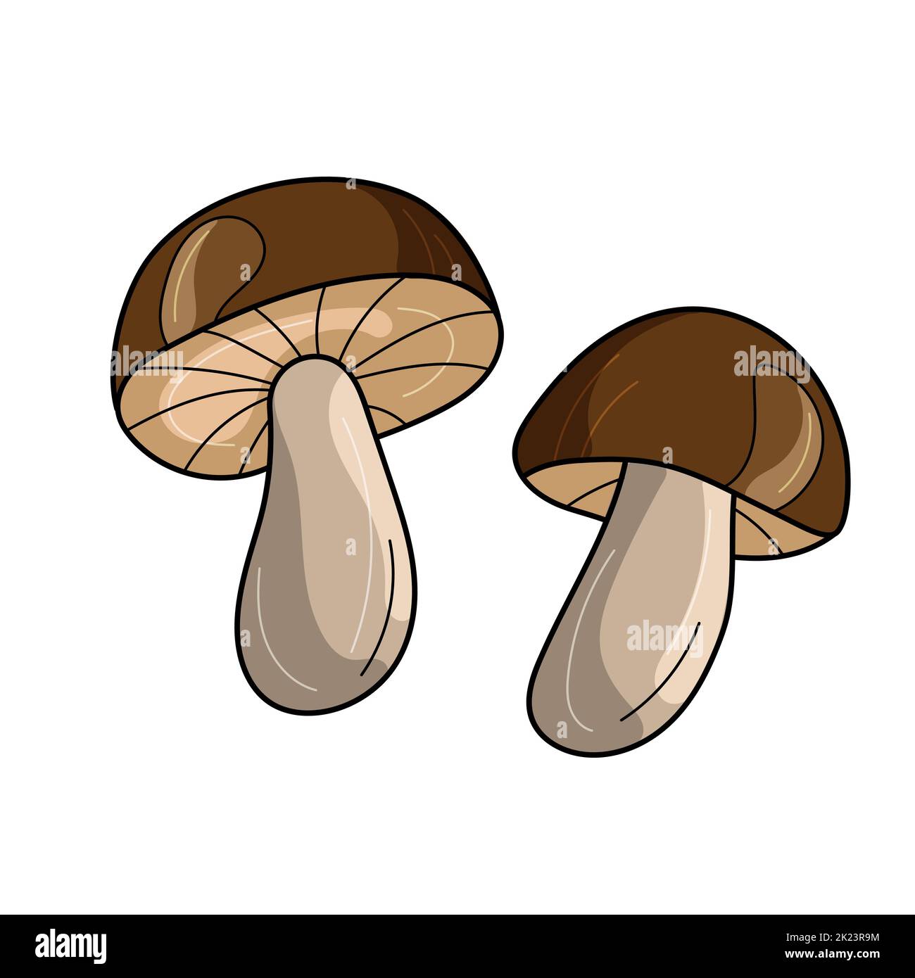 Dessin de vecteur de dessin animé champignon sur blanc. Deux symboles de champignons bruns mignons pour le motif Illustration de Vecteur