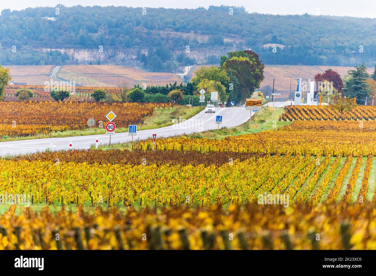Vignobles en Bourgogne, France. Couleurs d'automne Banque D'Images