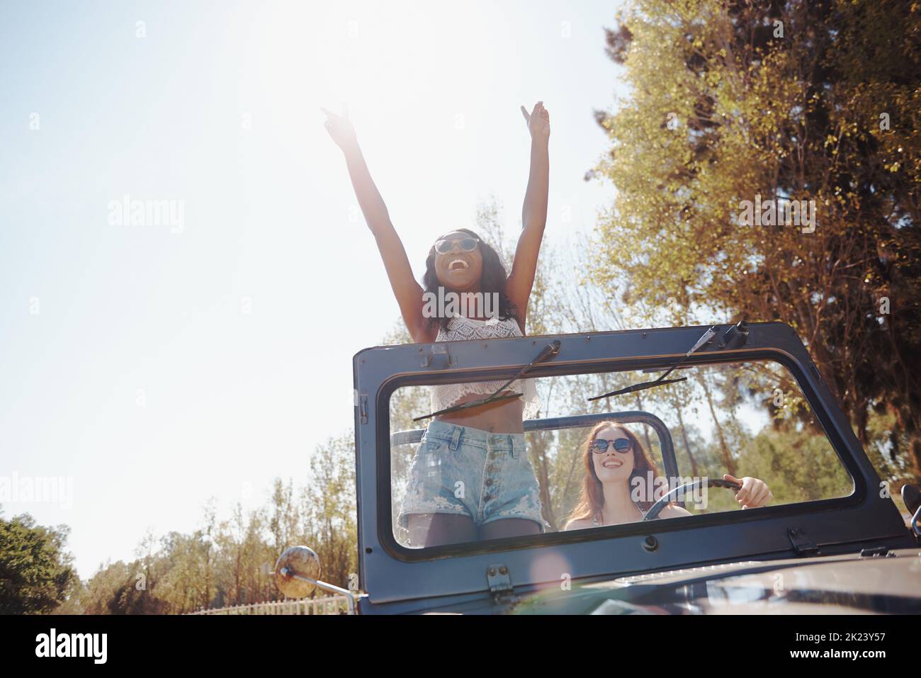 C'est génial. Une jeune femme attrayante debout avec les bras levés dans la voiture Banque D'Images