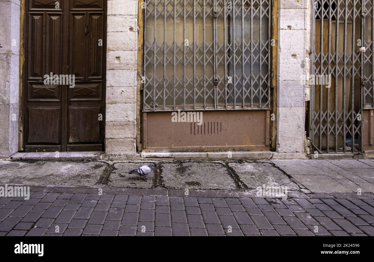 Détail de la marche des oiseaux sauvages dans la ville Banque D'Images