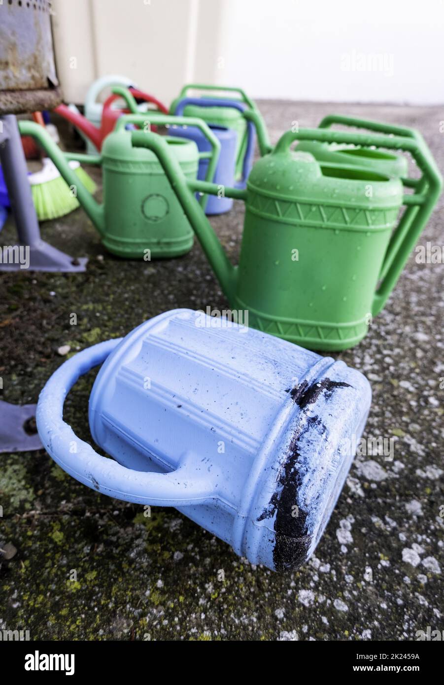Détail des outils pour l'arrosage des plantes, le jardinage Banque D'Images