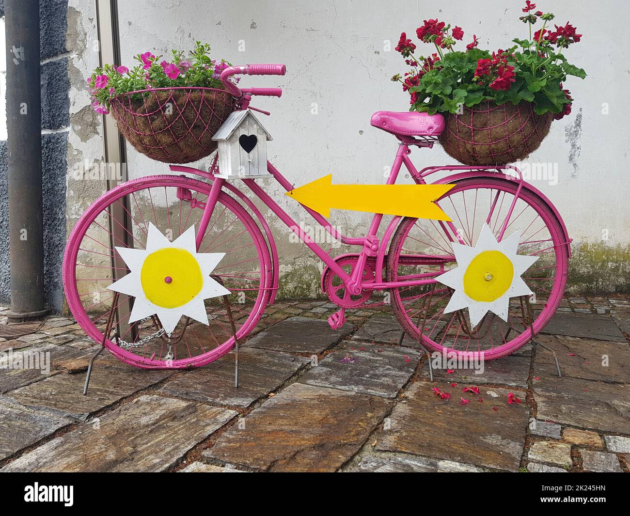 Un beau vélo décoratif ancien avec des fleurs en pots Banque D'Images