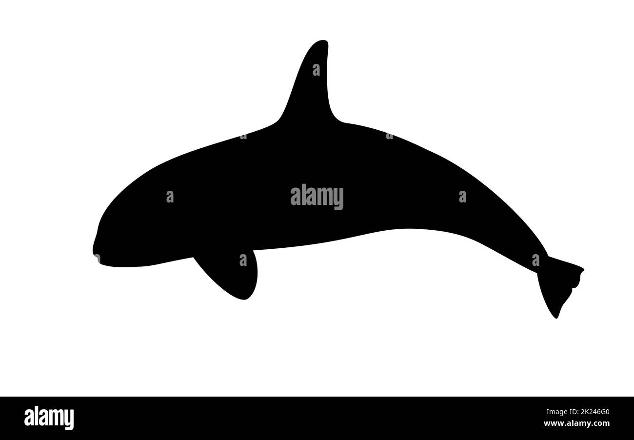 Épaulard. Illustration vectorielle d'une silhouette noire d'orque isolée sur blanc. Logo, vue latérale. Illustration de Vecteur