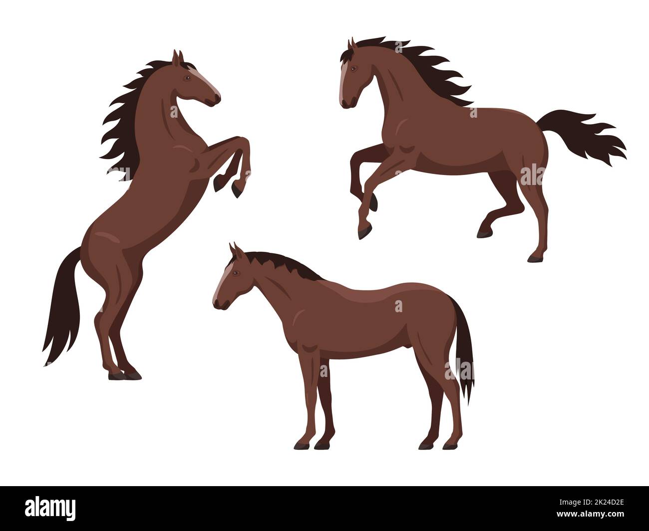 Ensemble de chevaux bruns. Illustration vectorielle ensemble dessin animé beaux chevaux dans