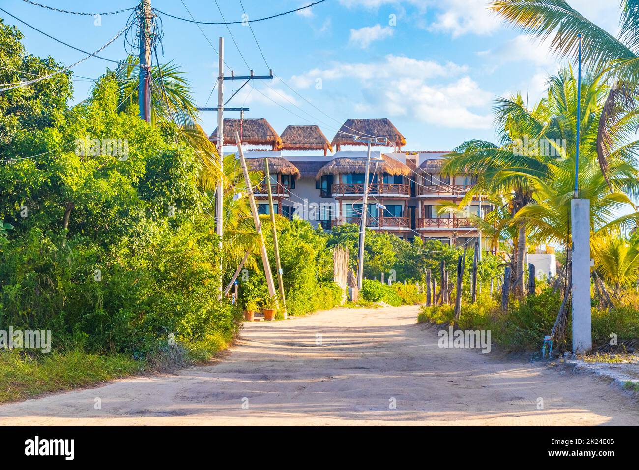 Sentier de randonnée et vue sur le paysage avec nature tropicale sur la belle île Holbox à Quintana Roo Mexique. Banque D'Images