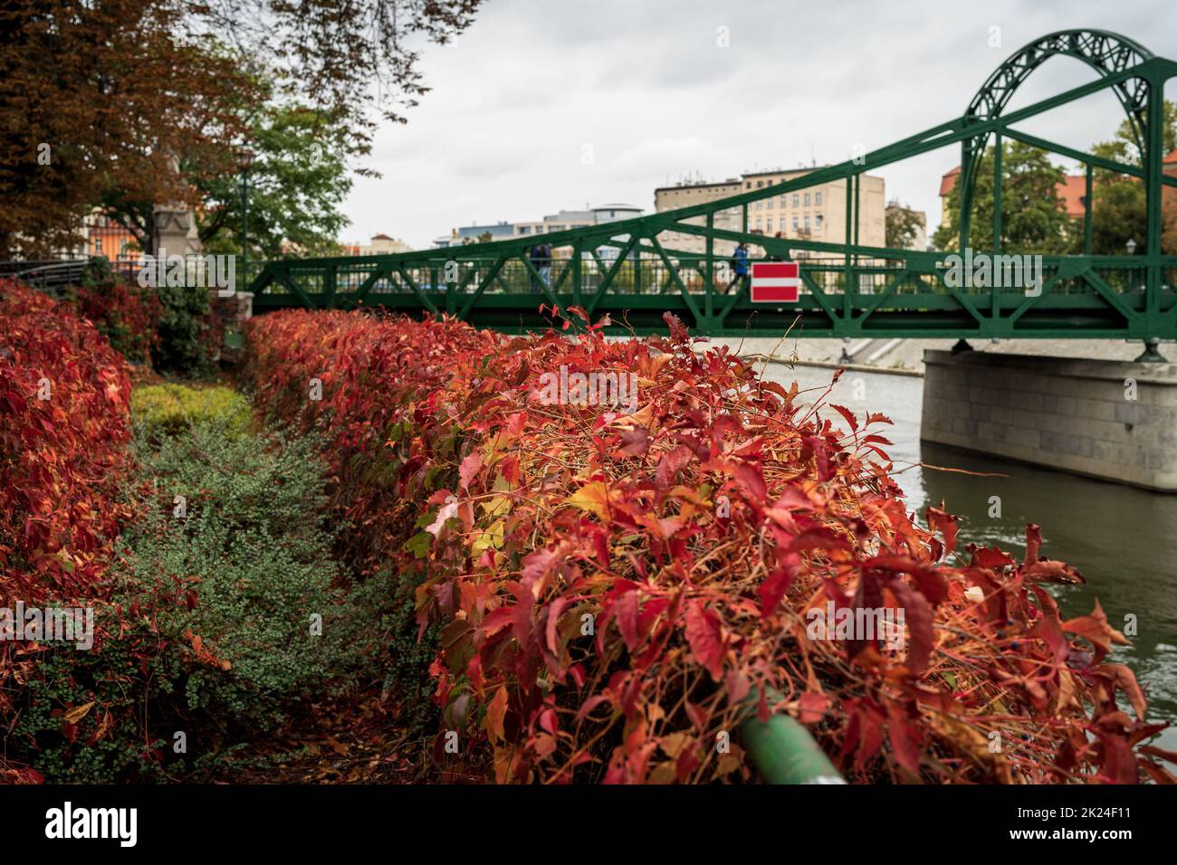 Rues de la vieille ville en automne.En arrière-plan est Tumski Bridge (1889).Mise au point au premier plan.Wroclaw.Pologne. Banque D'Images