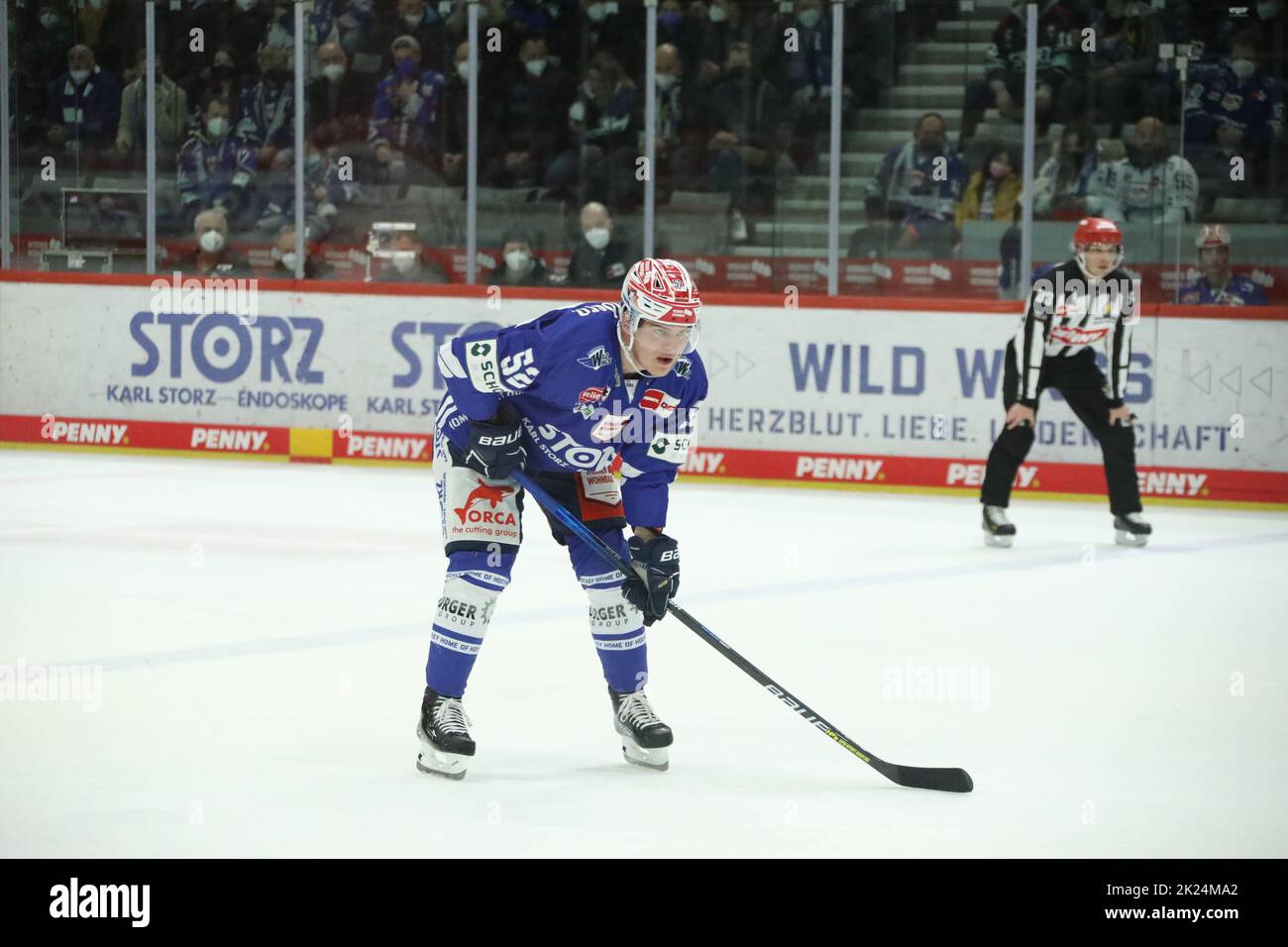 Johannes Huß (SERC Wild Wings) im Spiel der DEL, 45. Sptg.: SERC Wild Wings vs Bietigheim Steelers Banque D'Images