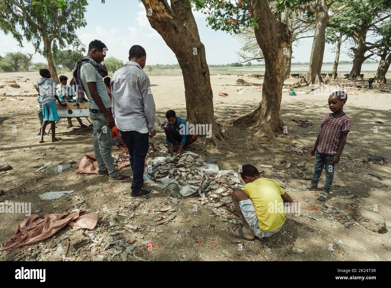 Lac Koka, région d'Oromia, Éthiopie - 16 mai 2019 : les hommes trient les poissons restants capturés après la fermeture du marché de poissons de Metho Aleka, région d'Oromia, Eth Banque D'Images