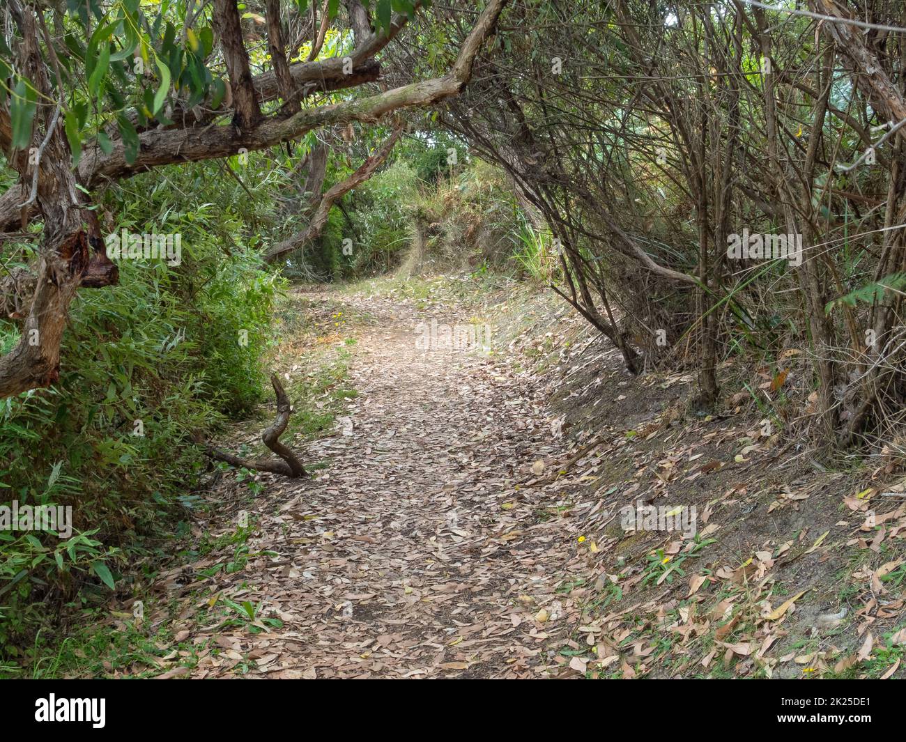 Sentier de randonnée - Marengo Banque D'Images