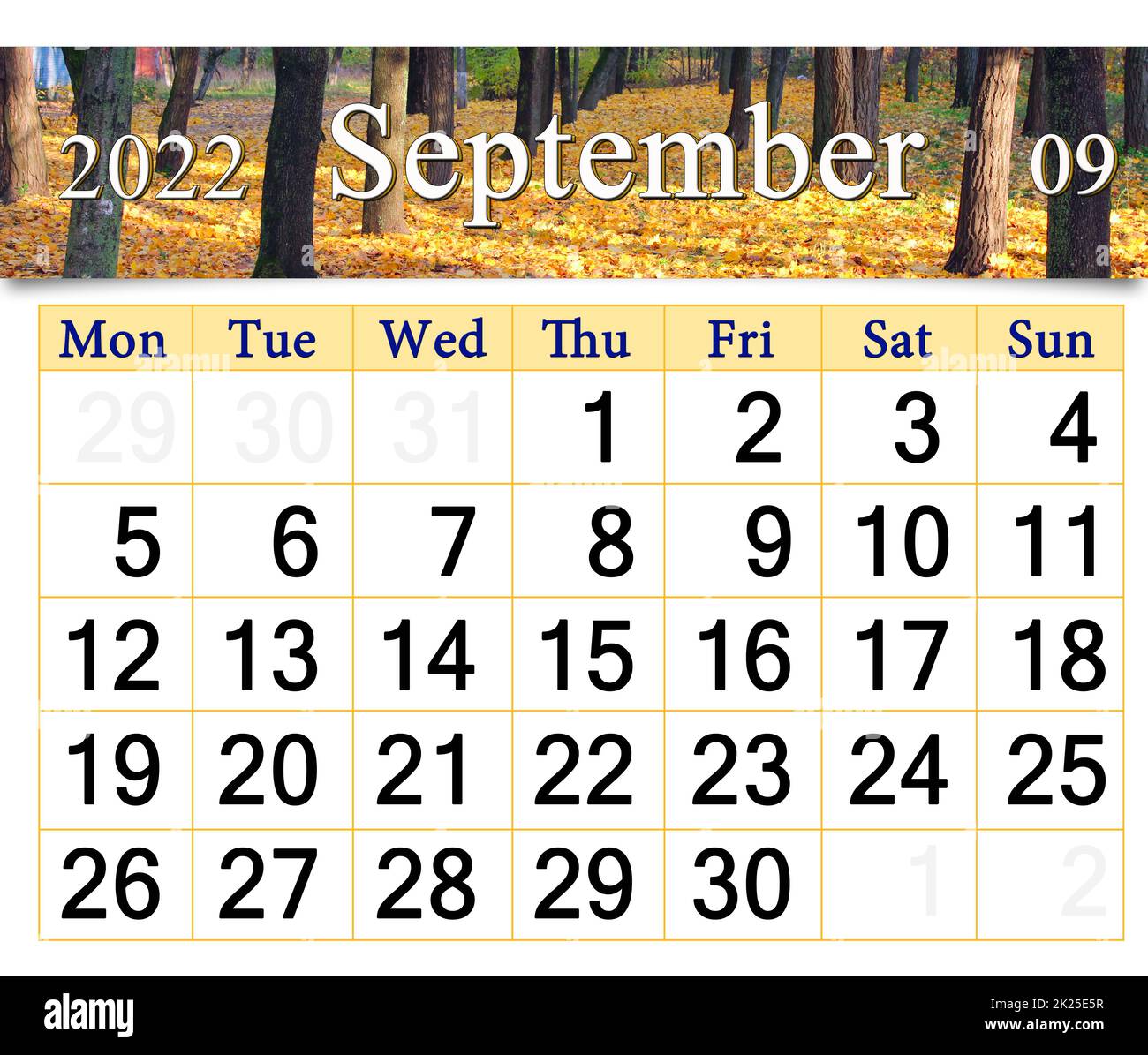 calendrier pour septembre 2022 avec parc d'automne avec arbres de couleur jaune Banque D'Images