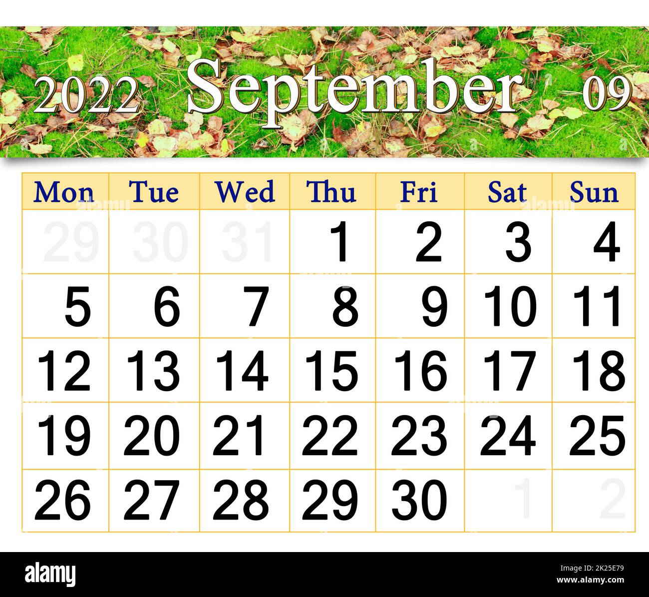 calendrier pour septembre 2022 avec des feuilles jaunes couchés sur de la mousse verte en forêt Banque D'Images