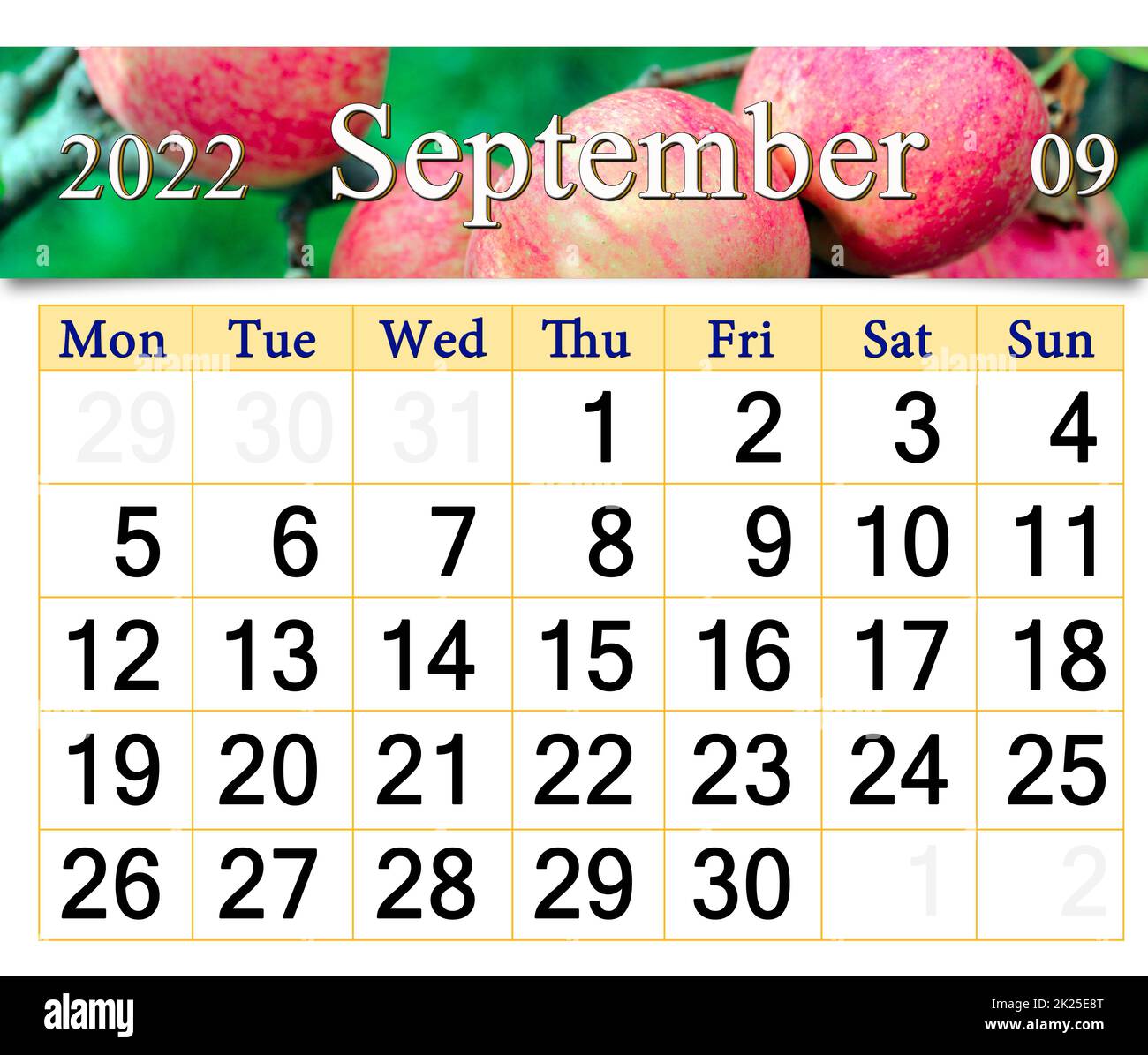 calendrier pour septembre 2022 avec image de avec pommes rouges mûres sur la branche de l'arbre Banque D'Images