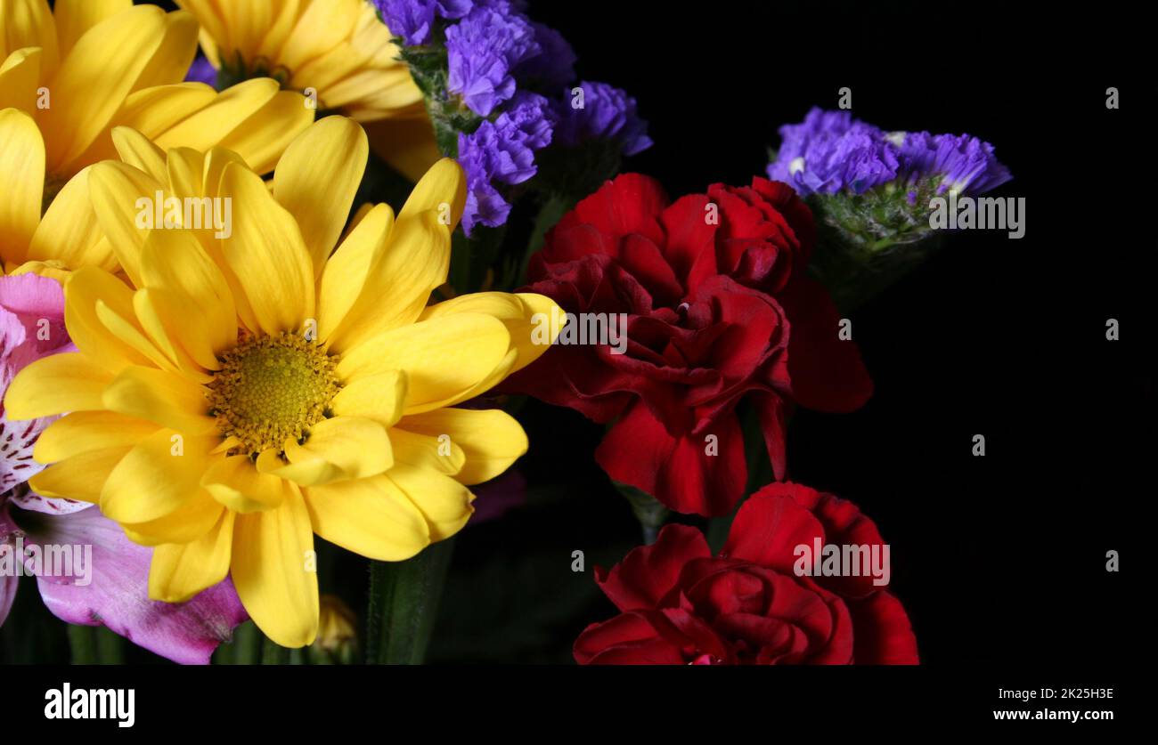 Bouquet de fleurs colorées sur fond noir gros plan Banque D'Images