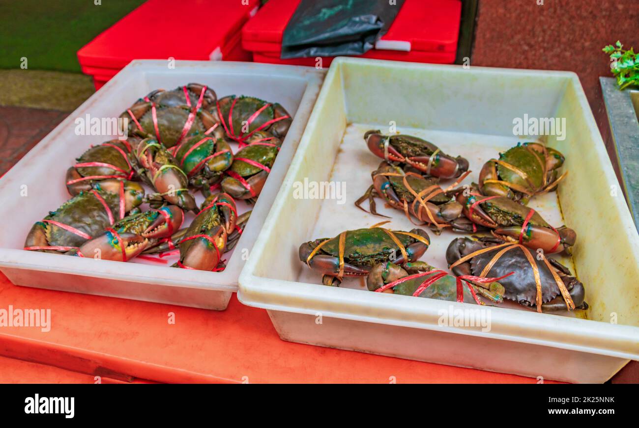 Fruits de mer crabes vivants crustacés marché thaïlandais Chine ville Bangkok. Banque D'Images