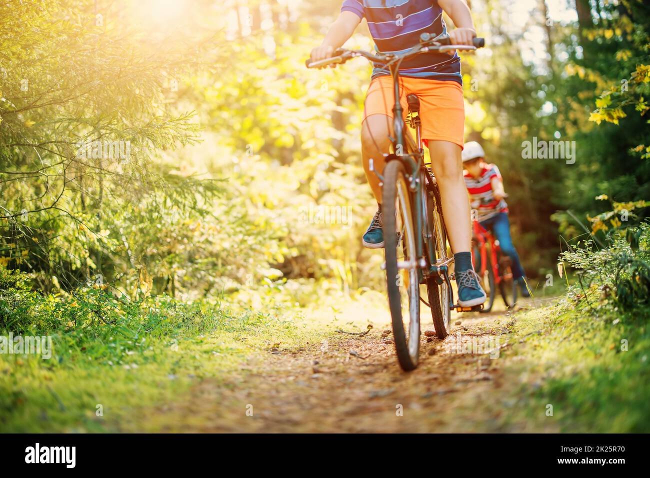 Enfants à vélo dans la forêt tôt le matin. Banque D'Images