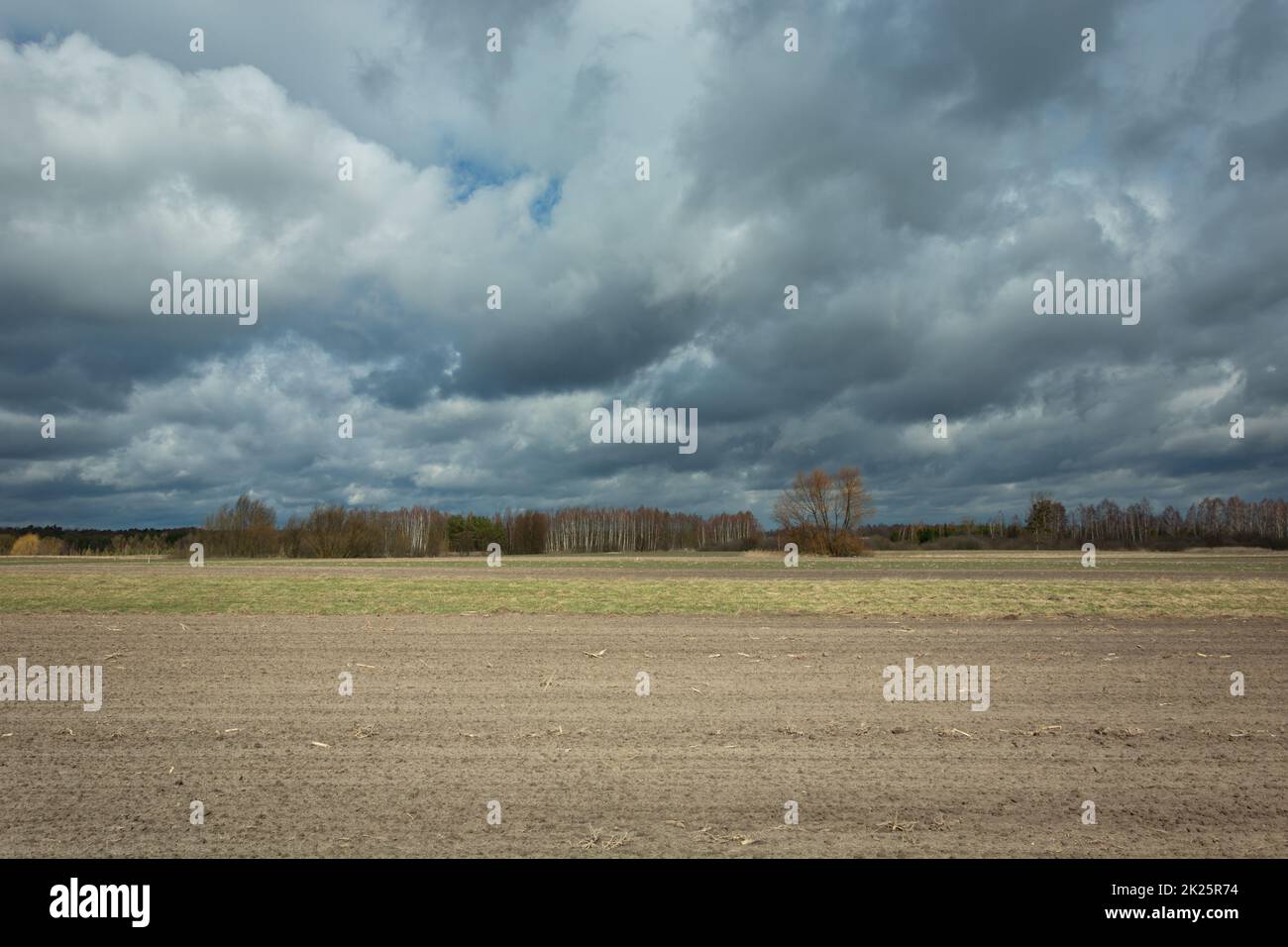 Terres agricoles labourées et nuages noirs pluvieux dans le ciel Banque D'Images