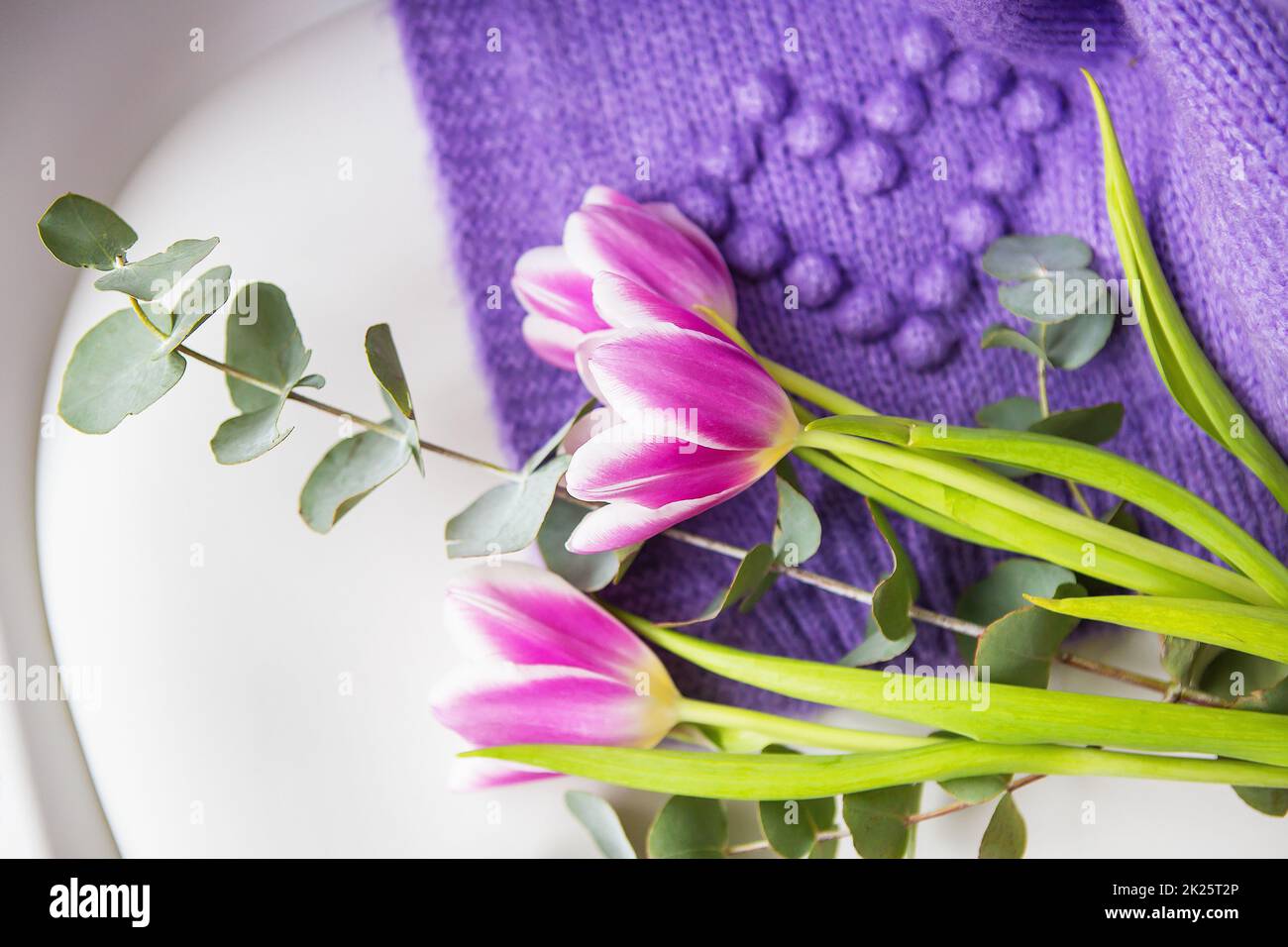 Printemps beau bouquet de tulipes pourpres avec eucalyptus sur une chaise blanche avec un chandail pourpre. Ambiance printanière, le 8 mars. Carte postale pour les vacances. Banque D'Images