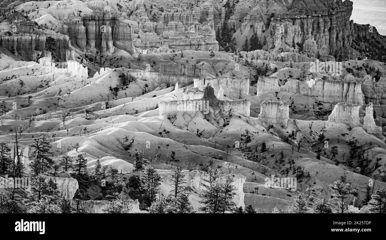 Magnifique paysage à Bryce Canyon Banque D'Images