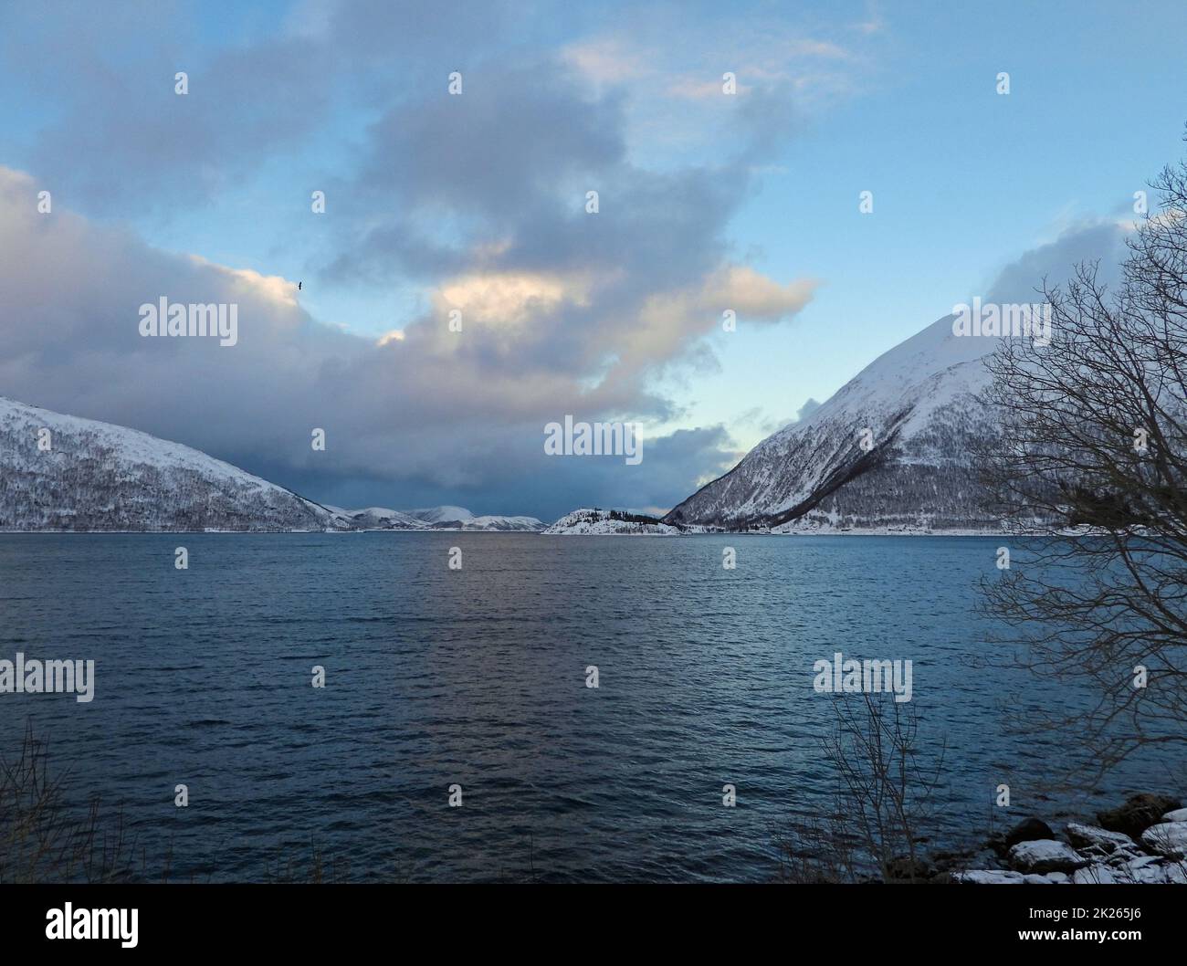 Paysage en hiver, Kvaloya, Norvège Banque D'Images