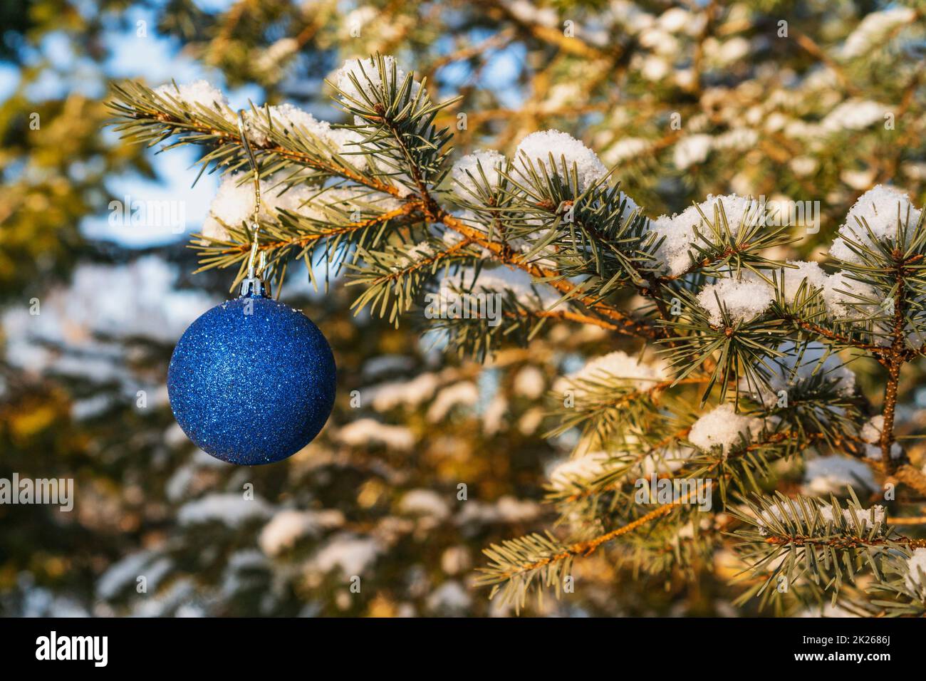 Branche d'épicéa avec boule de Noël bleue Banque D'Images